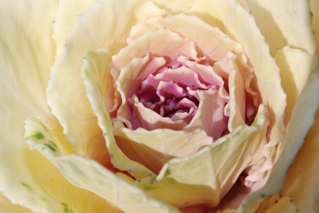 ファイル 549-3.jpg