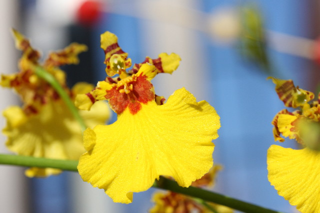 ファイル 549-4.jpg