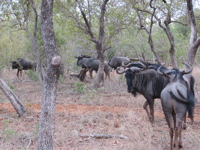 ファイル 5490-1.jpg