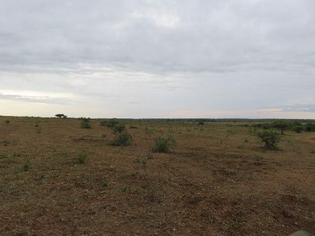 ファイル 5491-1.jpg