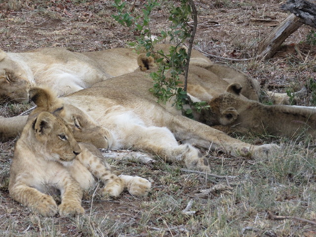 ファイル 5491-5.jpg