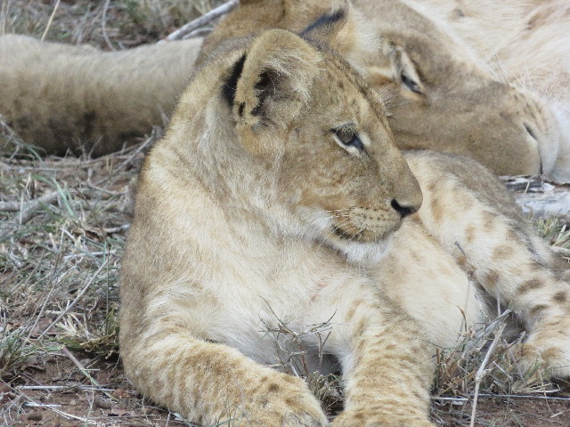 ファイル 5492-2.jpg