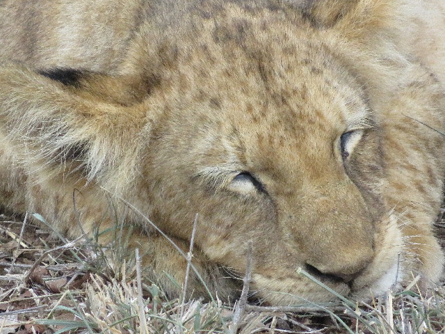 ファイル 5492-3.jpg