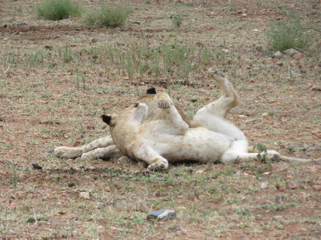 ファイル 5493-3.jpg