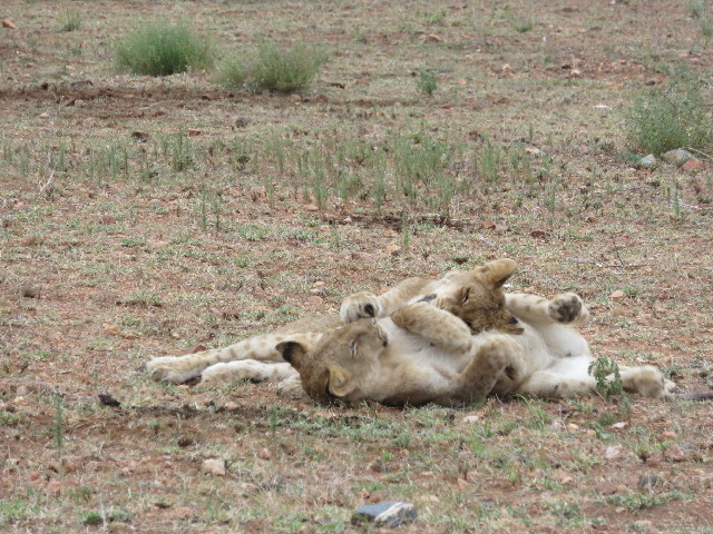 ファイル 5493-4.jpg