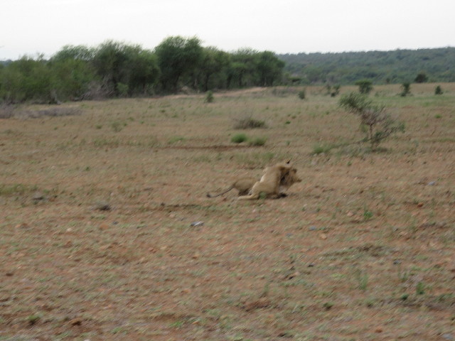 ファイル 5494-1.jpg