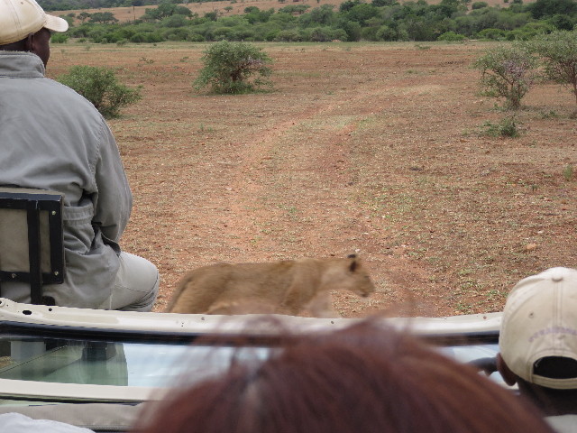 ファイル 5494-3.jpg