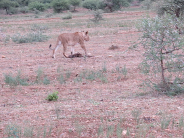 ファイル 5495-2.jpg