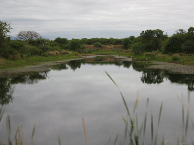 ファイル 5495-4.jpg