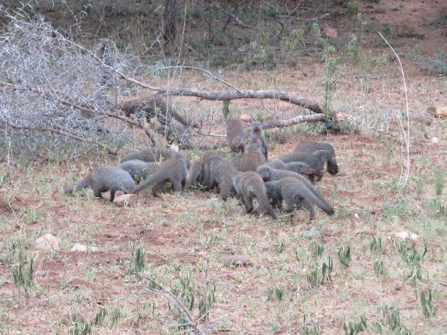 ファイル 5496-2.jpg