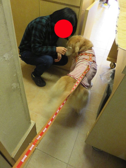 ファイル 5497-3.jpg