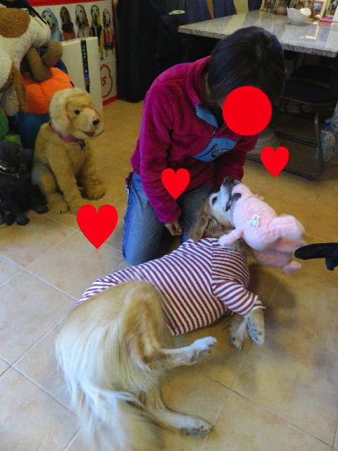 ファイル 5497-4.jpg