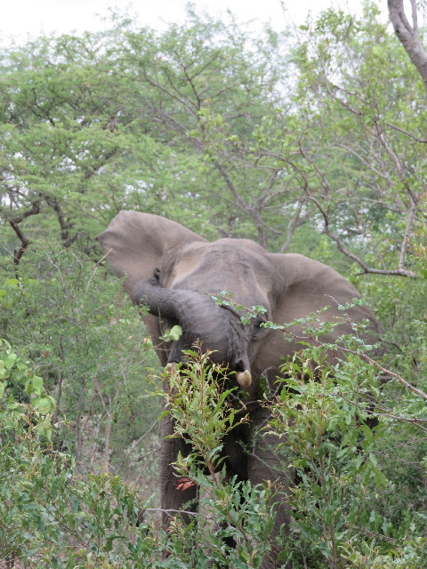 ファイル 5500-2.jpg