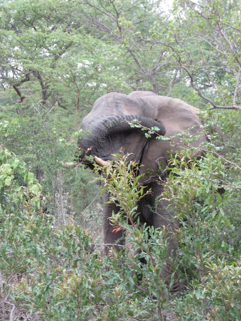 ファイル 5500-3.jpg