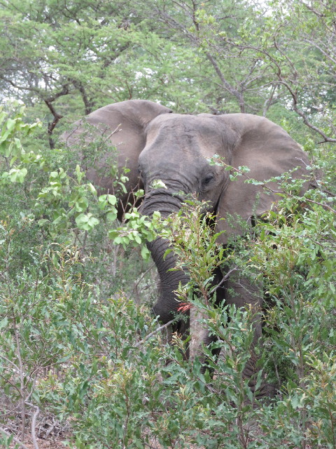 ファイル 5500-4.jpg