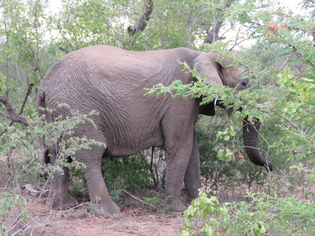 ファイル 5500-5.jpg