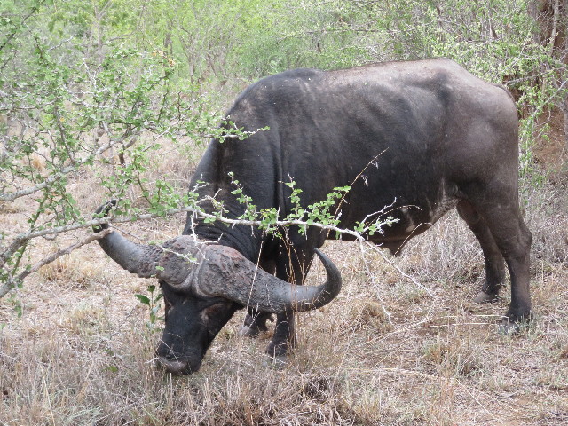 ファイル 5502-1.jpg