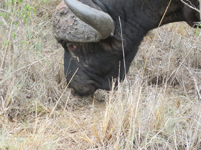 ファイル 5502-2.jpg