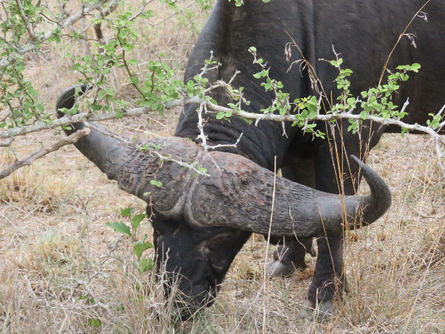 ファイル 5502-3.jpg