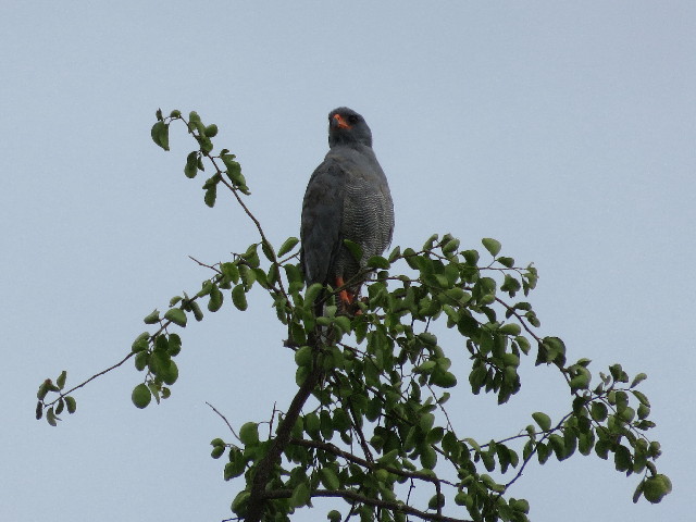 ファイル 5503-1.jpg