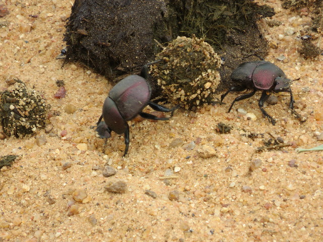 ファイル 5503-3.jpg