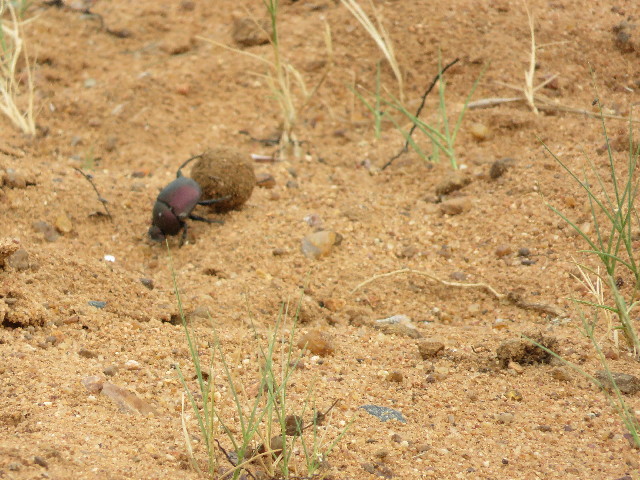 ファイル 5503-4.jpg