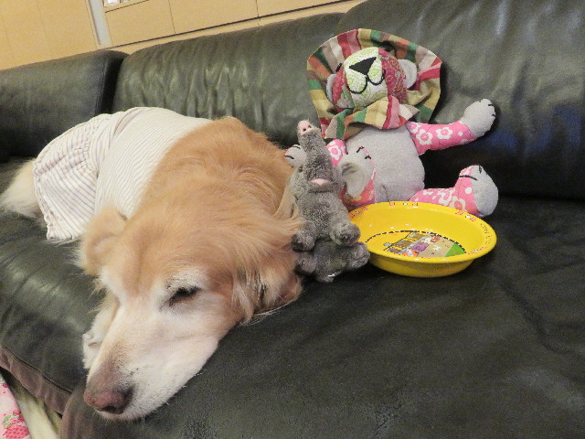 ファイル 5508-5.jpg