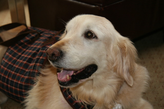 ファイル 551-1.jpg