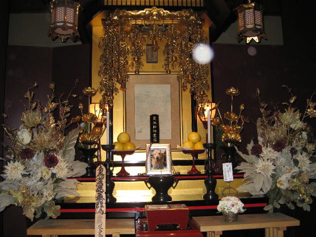 ファイル 551-3.jpg