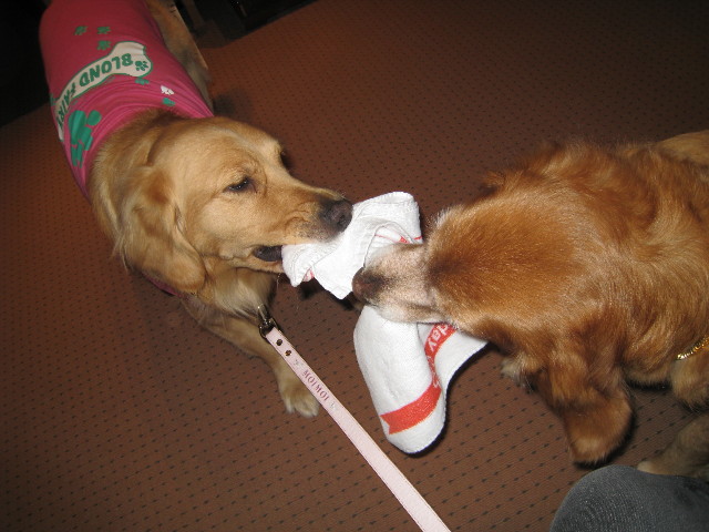 ファイル 551-4.jpg