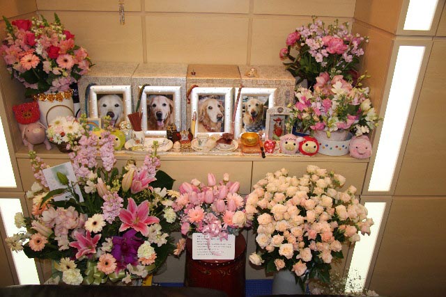 ファイル 551-5.jpg