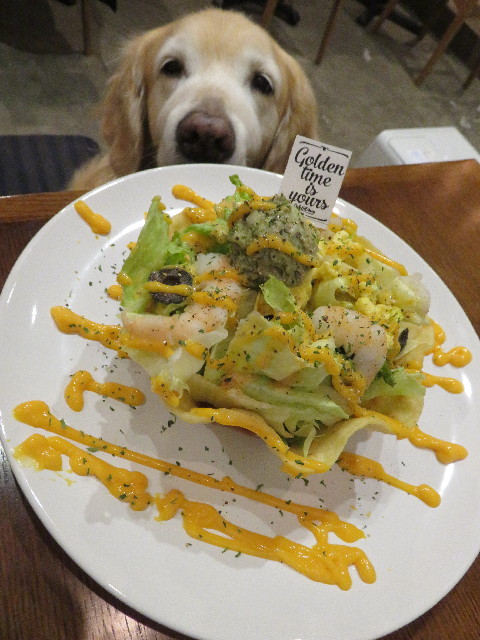 ファイル 5510-4.jpg