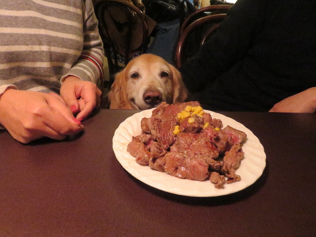 ファイル 5512-2.jpg