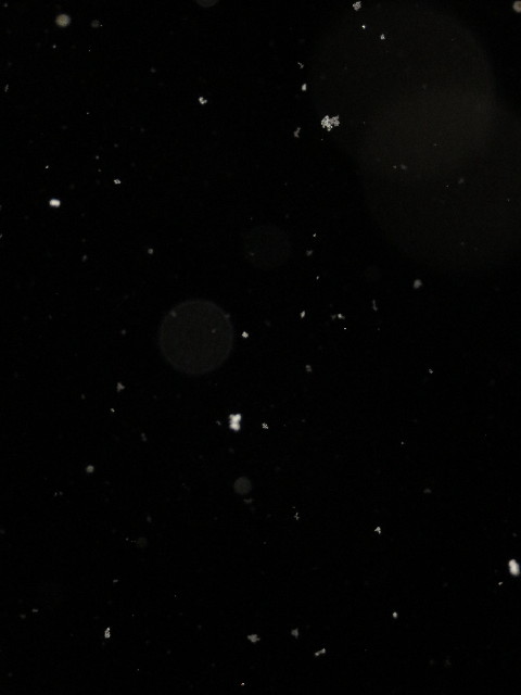 ファイル 5513-1.jpg