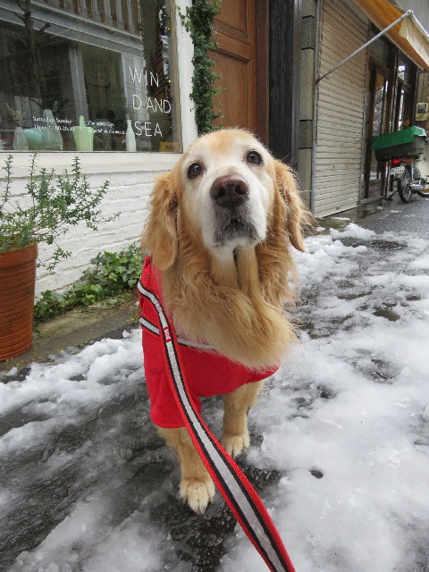 ファイル 5513-5.jpg