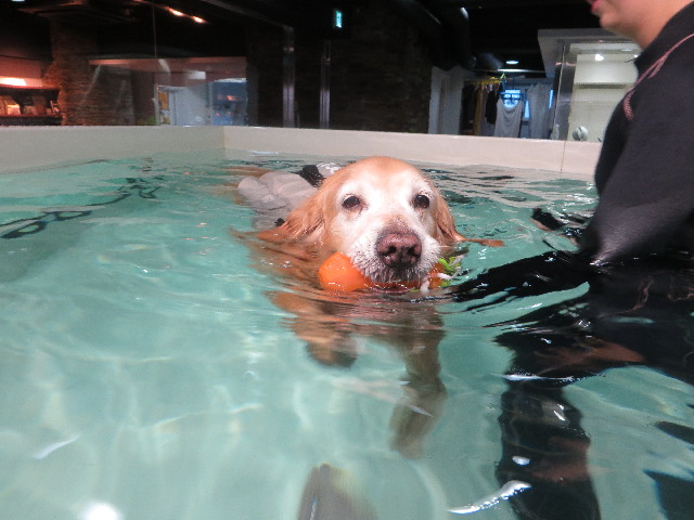 ファイル 5514-3.jpg