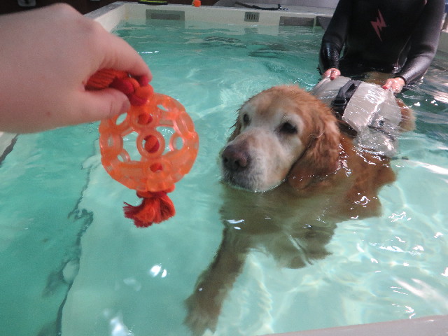 ファイル 5514-4.jpg