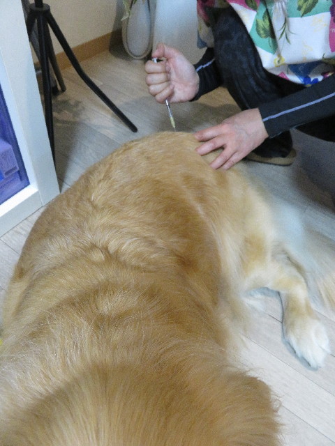 ファイル 5515-5.jpg