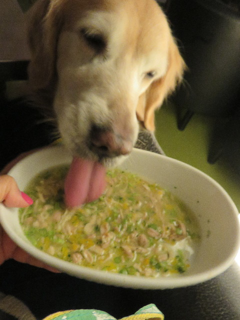 ファイル 5516-2.jpg