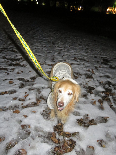 ファイル 5516-3.jpg