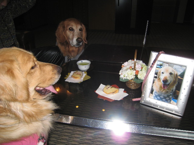 ファイル 552-2.jpg