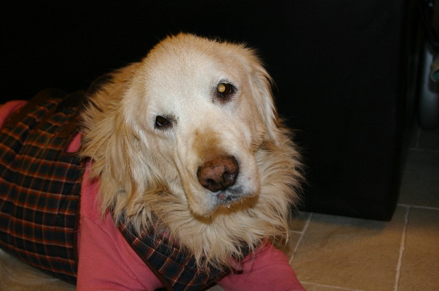 ファイル 552-5.jpg