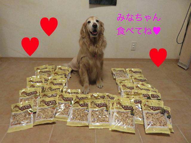 ファイル 5521-1.jpg