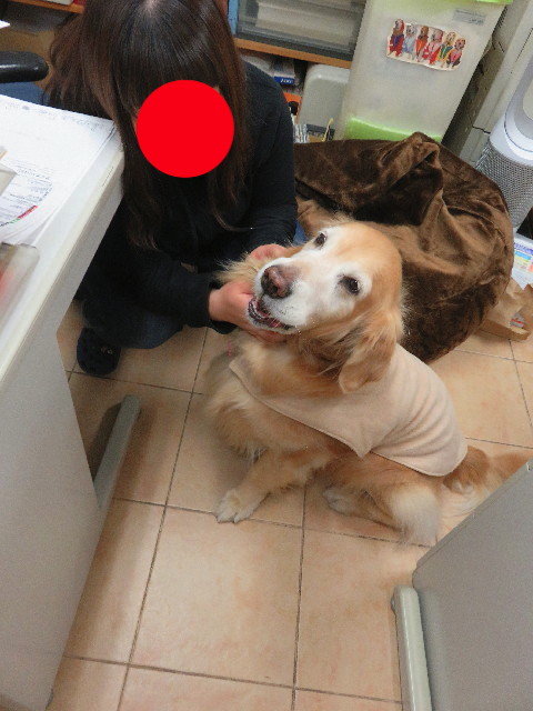 ファイル 5521-3.jpg