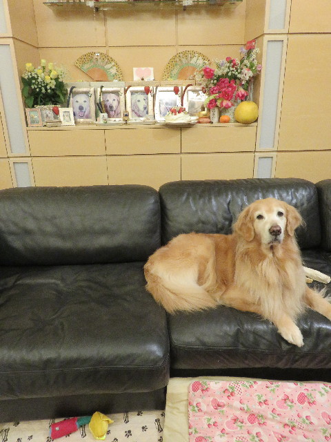 ファイル 5522-2.jpg