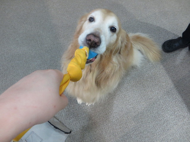 ファイル 5523-1.jpg