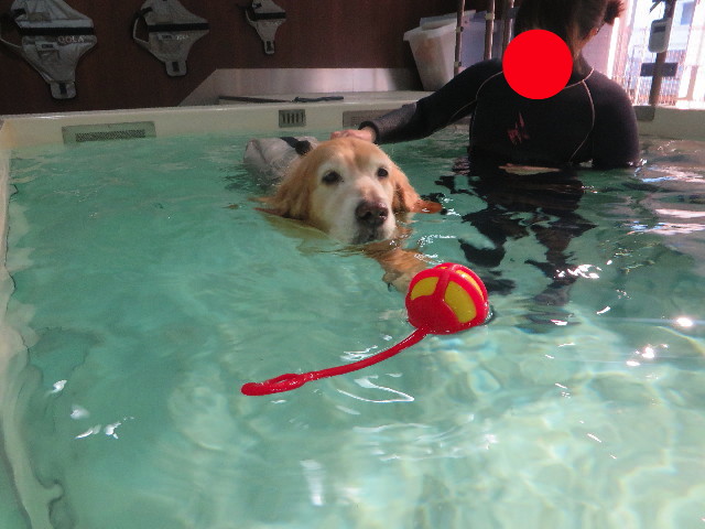 ファイル 5523-2.jpg