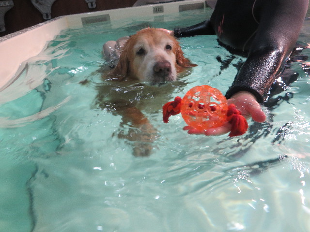 ファイル 5523-3.jpg