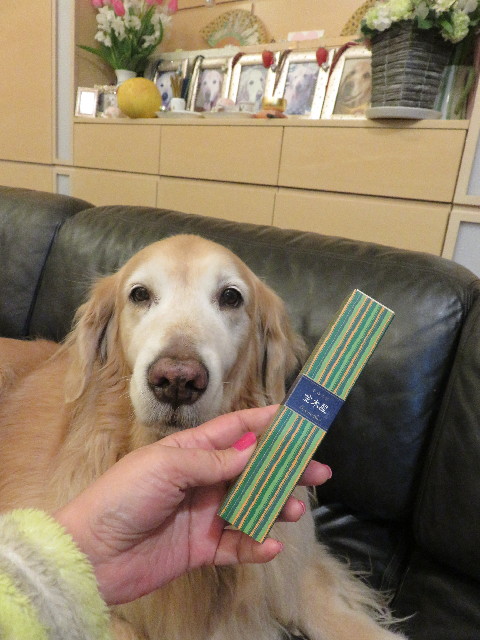 ファイル 5524-3.jpg