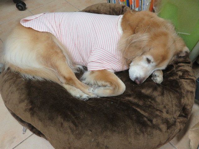 ファイル 5524-5.jpg